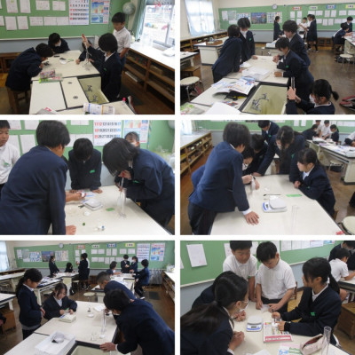 Express-collage (38)