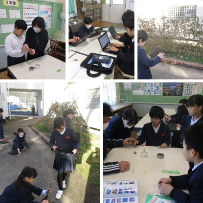 Express-collage (41)