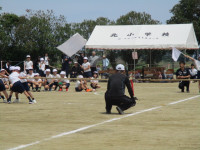 IMG_9054