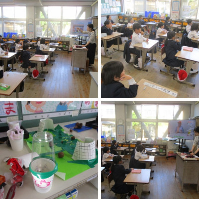 Express-collage (11)