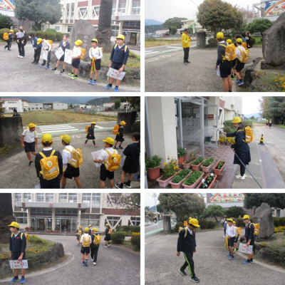 Express-collage (15)