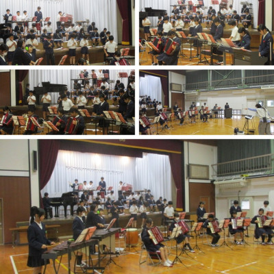 Express-collage (17)