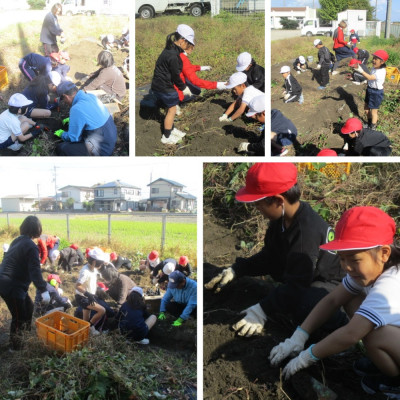 Express-collage (23)