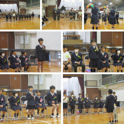 Express-collage (25)