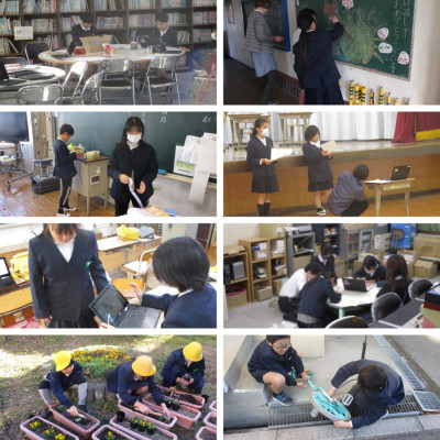 Express-collage (13)