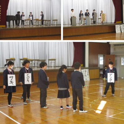 Express-collage (42)