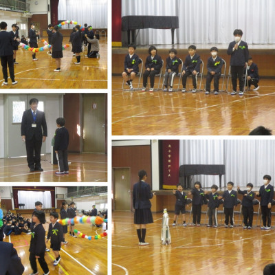 Express-collage (62)